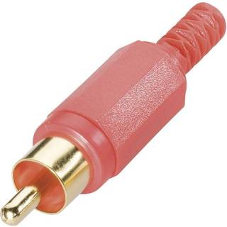 BKL Electronic 0104004/T Cinch-stik Stik, lige Poltal: