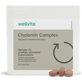 Wellvita Cholemin Complex - 60 tabletter - Bevar et normalt kolesteroltal