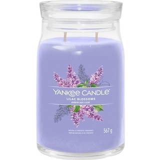 Lilac Blossoms