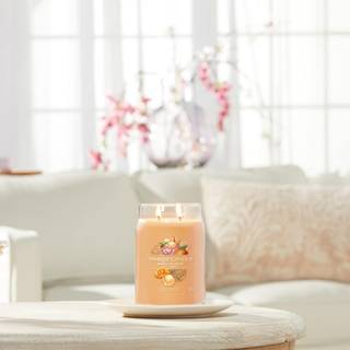 Yankee Candle Rumdufte Duftende stearinlys Mango Ice Cream 567 g (661,00 kr / 1 kg) - 567 g