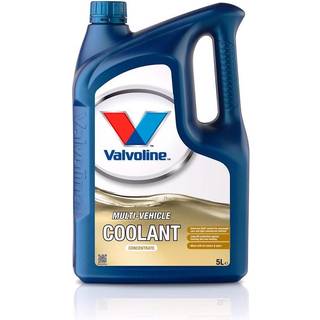 Kølervæske - Valvoline MULTI-VEHICLE COOLANT Concentrate 1 ltr - Hurtig levering