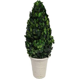 Kreativ co-op bokswood topiary i lerpotte