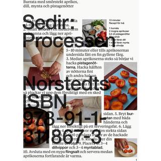 Sedir: Processen av Sedir Ajeenah