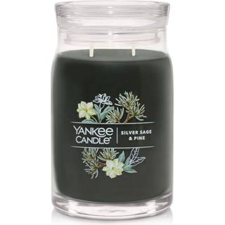 Yankee Candle Silver Sage & Pine Duftende signatur 20 oz stor krukke 2-wick stearinlys over 60 timers forbr?ndingstid jul | Holiday Candle