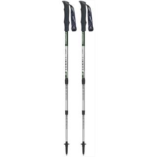 Masters Trekking Pole Summit Light Green
