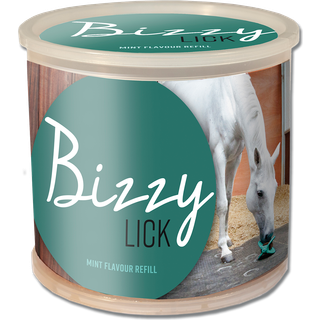 Bizzy - Sliksten 1kg - Mint