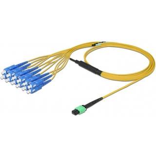 Fiber optisk MPO hun til 12 x SC Simplex han - Single-mode