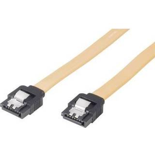 Renkforce Harddiske Tilslutningskabel [1x