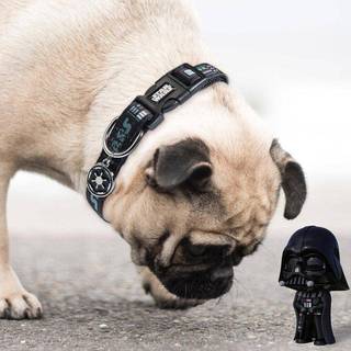 DARTH VADER - Dog Collar - S