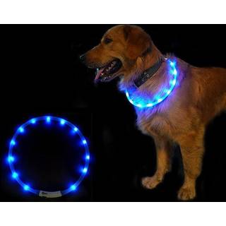 LED-halsbånd til hund - blå