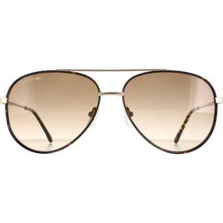 Lacoste Mand L247S 710 Solbriller Metal Guld Brun Pilot Normal Skygge