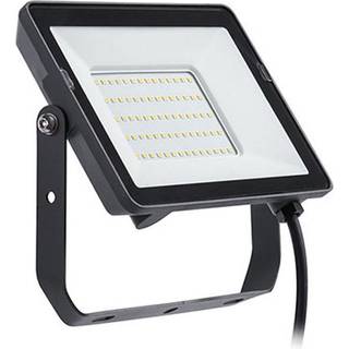 Philips ProjectLine udendørs LED-spot 6.500K 50W