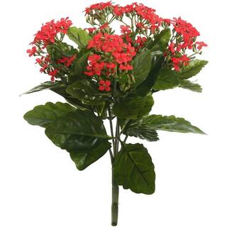 Vickerman Everyday Artificial Red Kanachoe Bush 17.25 """" Lang - Premium faux blomsterindretning til bryllup eller hverdagsordninger - vedligehold
