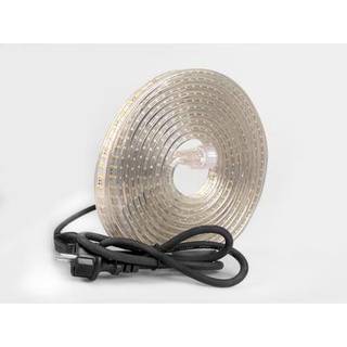 RANCEO LED strip 1500 lm/m 5M