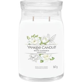 White Gardenia