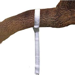 Cacoon Tree Loop