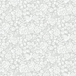 Jenny - 678-01