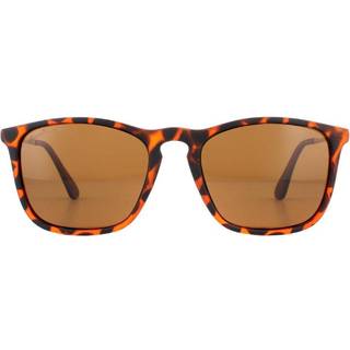 Montana Briller MP34 Polarized MP34C 54 Solbriller Mænd Tortoiseshell - Tortoise - 54mm