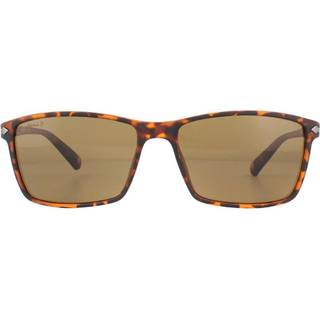Montana Briller MP51 Polarized MP51D 57 Solbriller Mænd Tortoiseshell - Tortoise - 57mm
