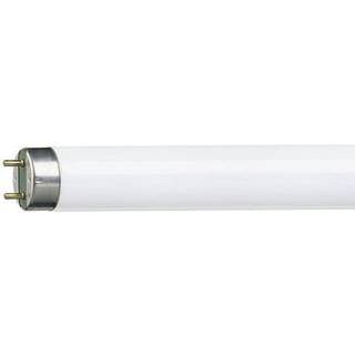 Bellight Bellight Lysrør T8 3250lm 36W/865 G13, 1200mm SE36120026860