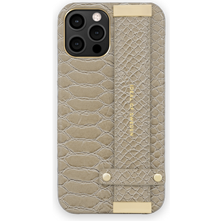 Statement Case Arizona Snake