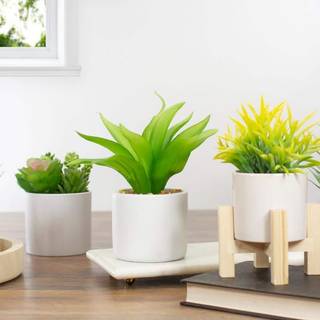 Northlight 8 """" Gr?n kunstig aloe -plante i en hvid gryde