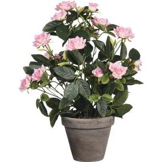 Rose hvid 33 cm høj