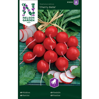 Radise 'Cherry Belle'