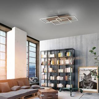 Paul Neuhaus Palma LED-loftlampe CCT ramme
