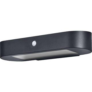 LEDVANCE Endura Style Solar Oval væglampe 4000 K