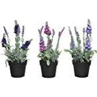 Lavendel - Salvie mørk lilla i potte - Kunstig - 25 cm