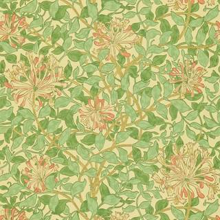 Honeysuckle Green/Beige/Pink - DMC1HS103