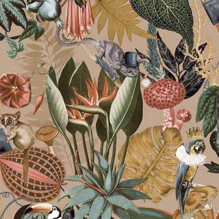 Albany Wallpaper Reverie 91171