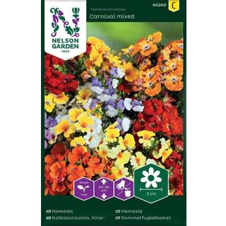 Sommerfugleblomst 'Carnival' Mix