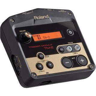 Roland TM-2 Modul