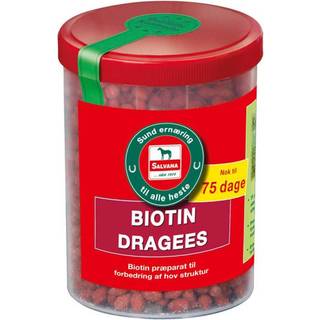 Salvana Biotin Dragee 750 gr