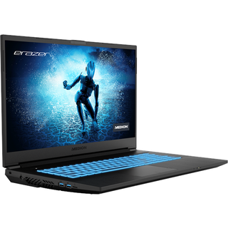 DEMO: 17,3" P15 5800H 16 3060