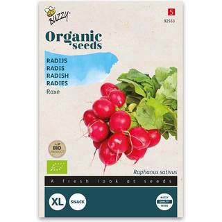 Buzzy Organic radise Raxe, økologiske frø