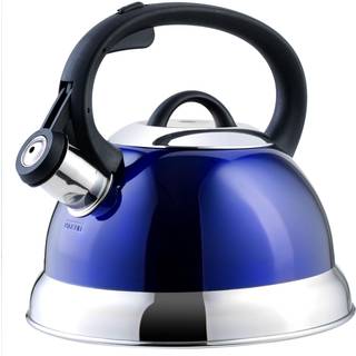 Mr. Coffee Flintshire rustfrit st?l fl?jtende te kedel m/nylonh?ndtag 1,75-kvart metallisk kongebl?