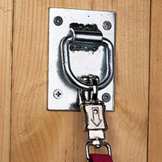 Intrepid International Heavy Duty Tie Ring til hestehalls