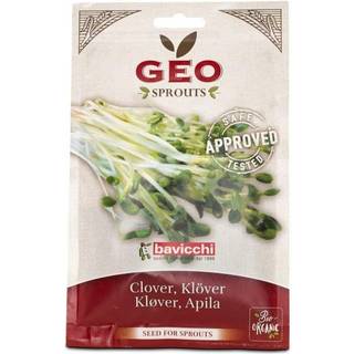 GEO Kløverfrø ØKO, 70 g