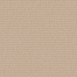 Willowherb - 4722