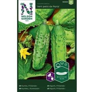 Drueagurk 'Vert petit de Paris'