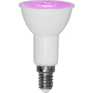 Star Trading - LED LAMP E14 PAR16 PLANT LYS - 3,5W
