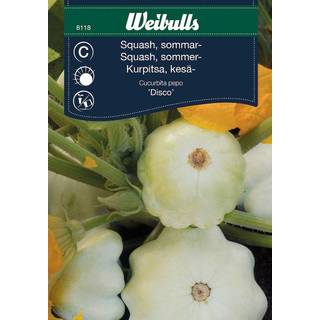 Squashfrø (Gul squash 'Disco')