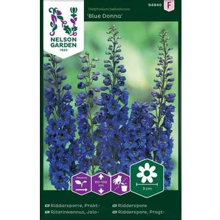 Pragtridderspore 'Blue Donna'