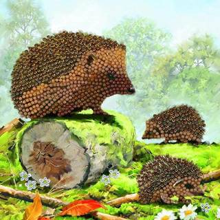 Crystal Art Diamond Painting Card Kit - Happy Hedgehogs- Opret din egen 7 """" X7 """" korts?t - i alderen 8 ?r og op