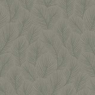 Pine Tree - 4704