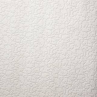Superfresco Paintable Wallpaper Bark Texture 786G