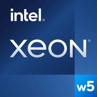 Intel Xeon W W5-2445 / 3.1 GHz processor - OEM CPU - 10 kerner - 3.1 GHz - Intel FCLGA4677 - Bulk (ingen køler)